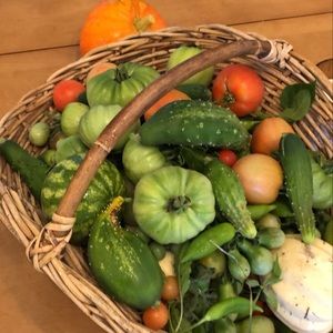 Meet your Posher, Sam